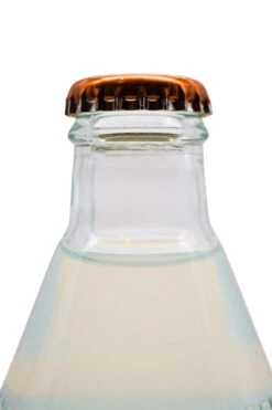 Goldberg & Sons - Ginger Beer 13 Goldberg & Sons - Ginger Beer -Der-Schnapsstodl GoldbergGingerBeer4