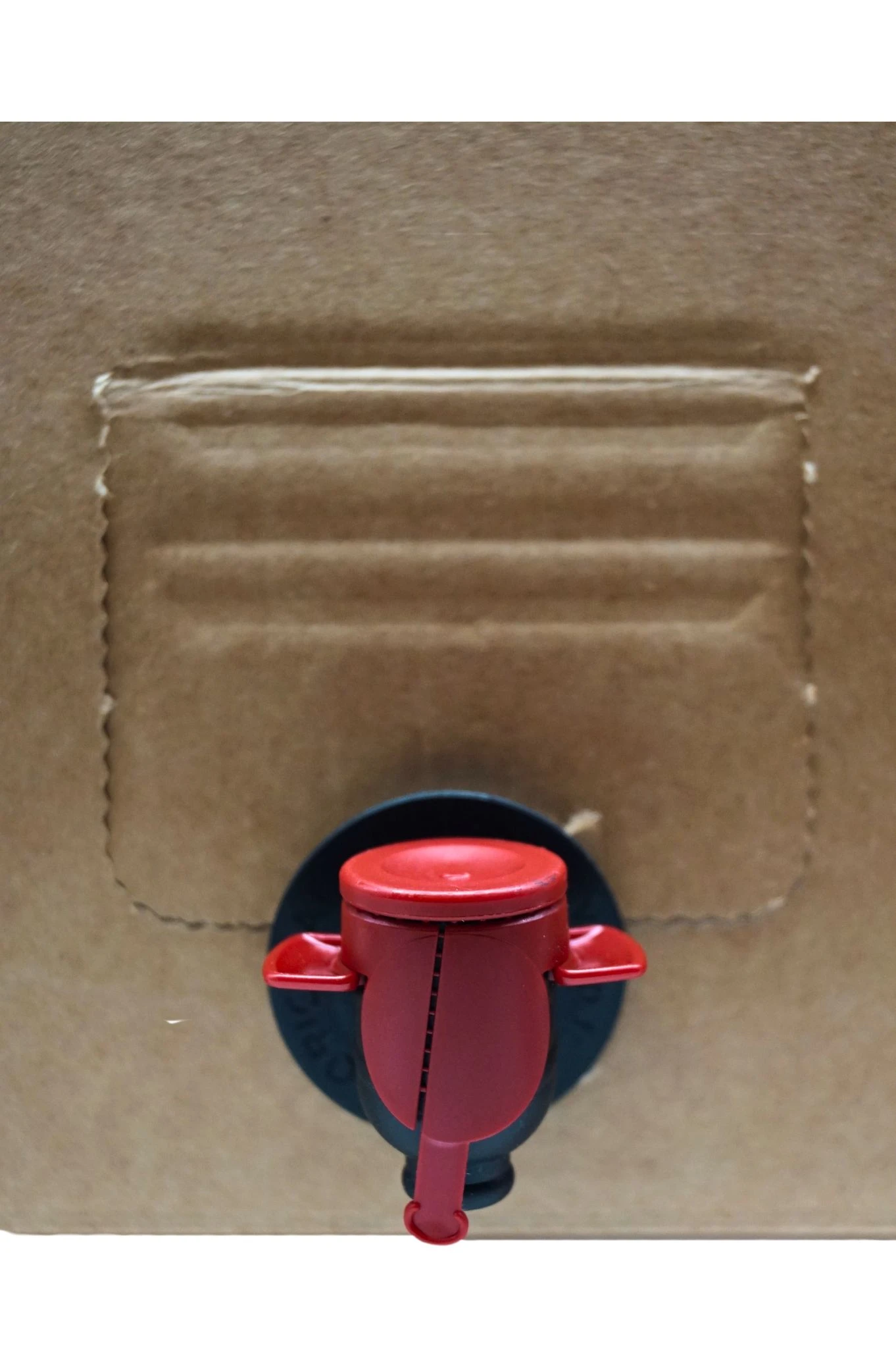 Kelterei Pretzfeld - Früchtepunsch Bag In Box 10 Liter 5 Kelterei Pretzfeld - Früchtepunsch Bag In Box 10 Liter - Image 3