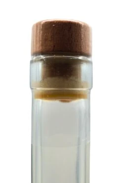 Stamperla - Haselnuss Sahnelikör -Der-Schnapsstodl StamperlaHaselnussSahnelikr4