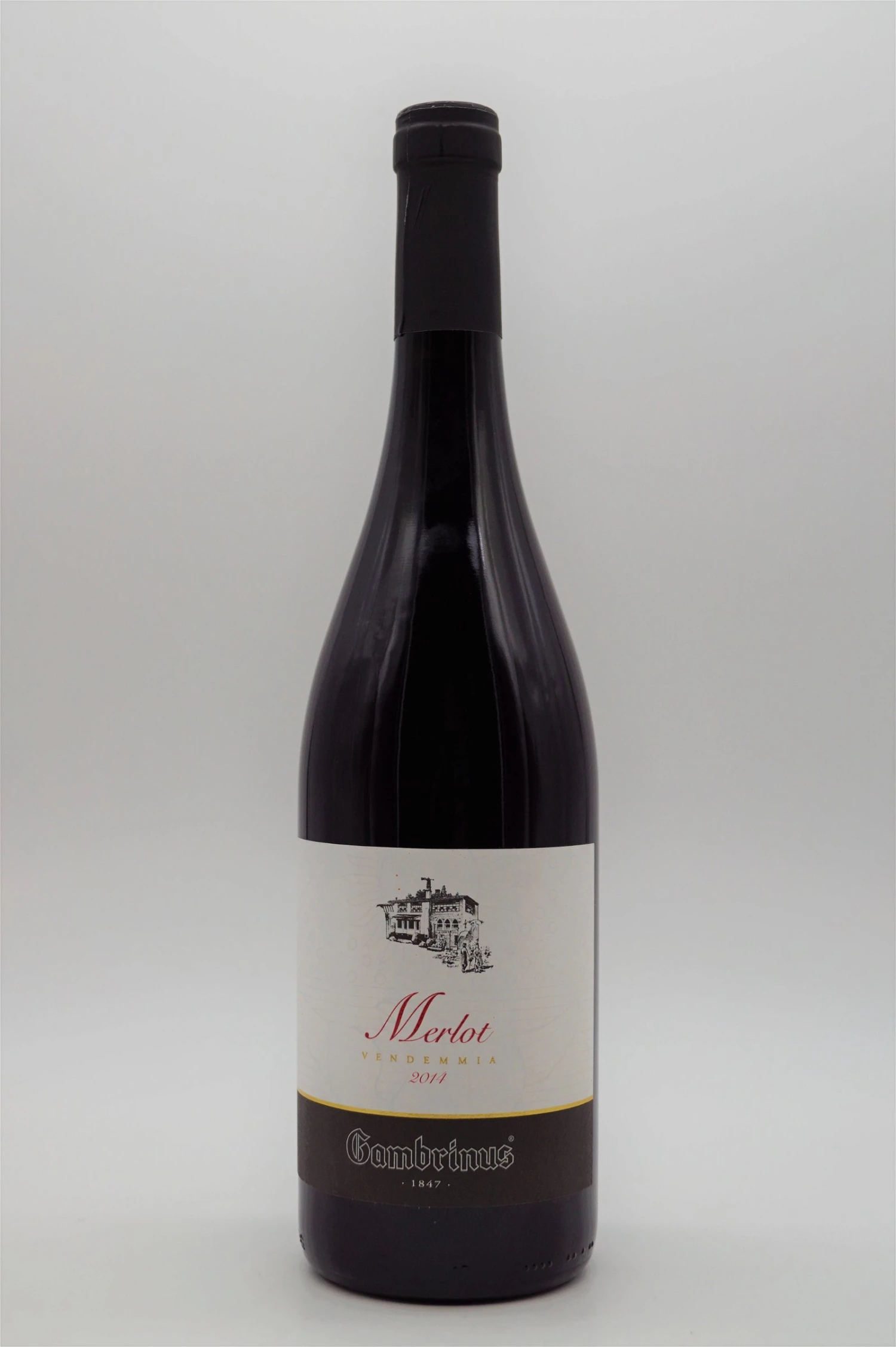 Gambrinus - Merlot 2014 3 Gambrinus - Merlot 2014