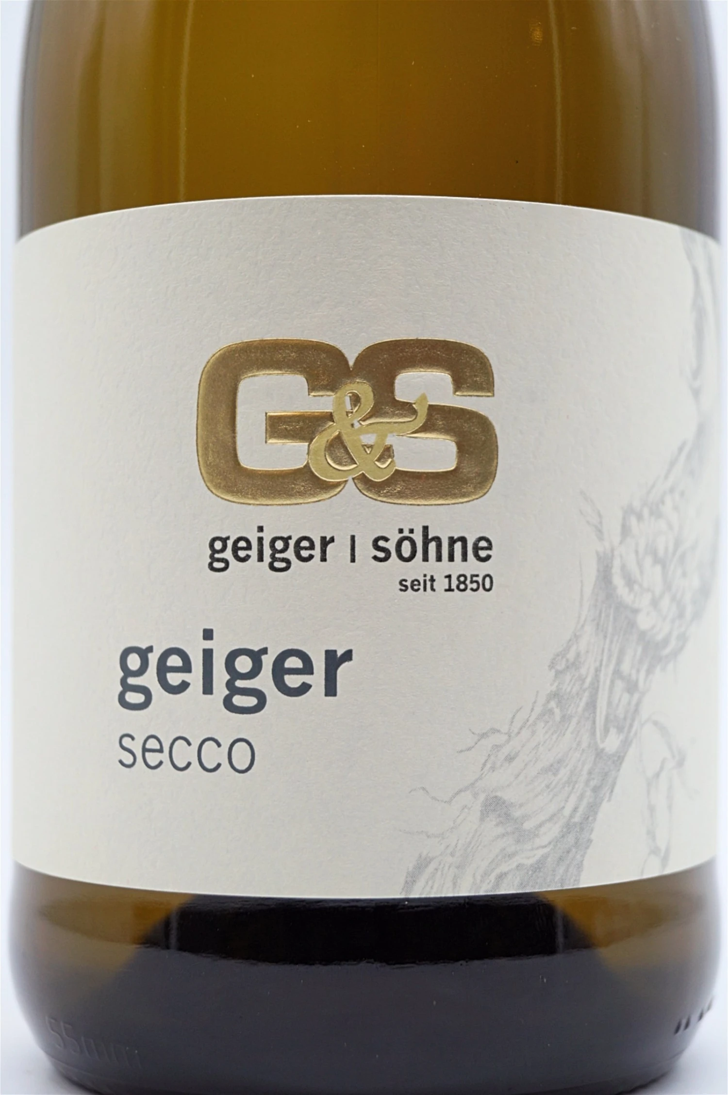 Geiger & Söhne - Geiger Secco 5 Geiger & Söhne - Geiger Secco - Image 3