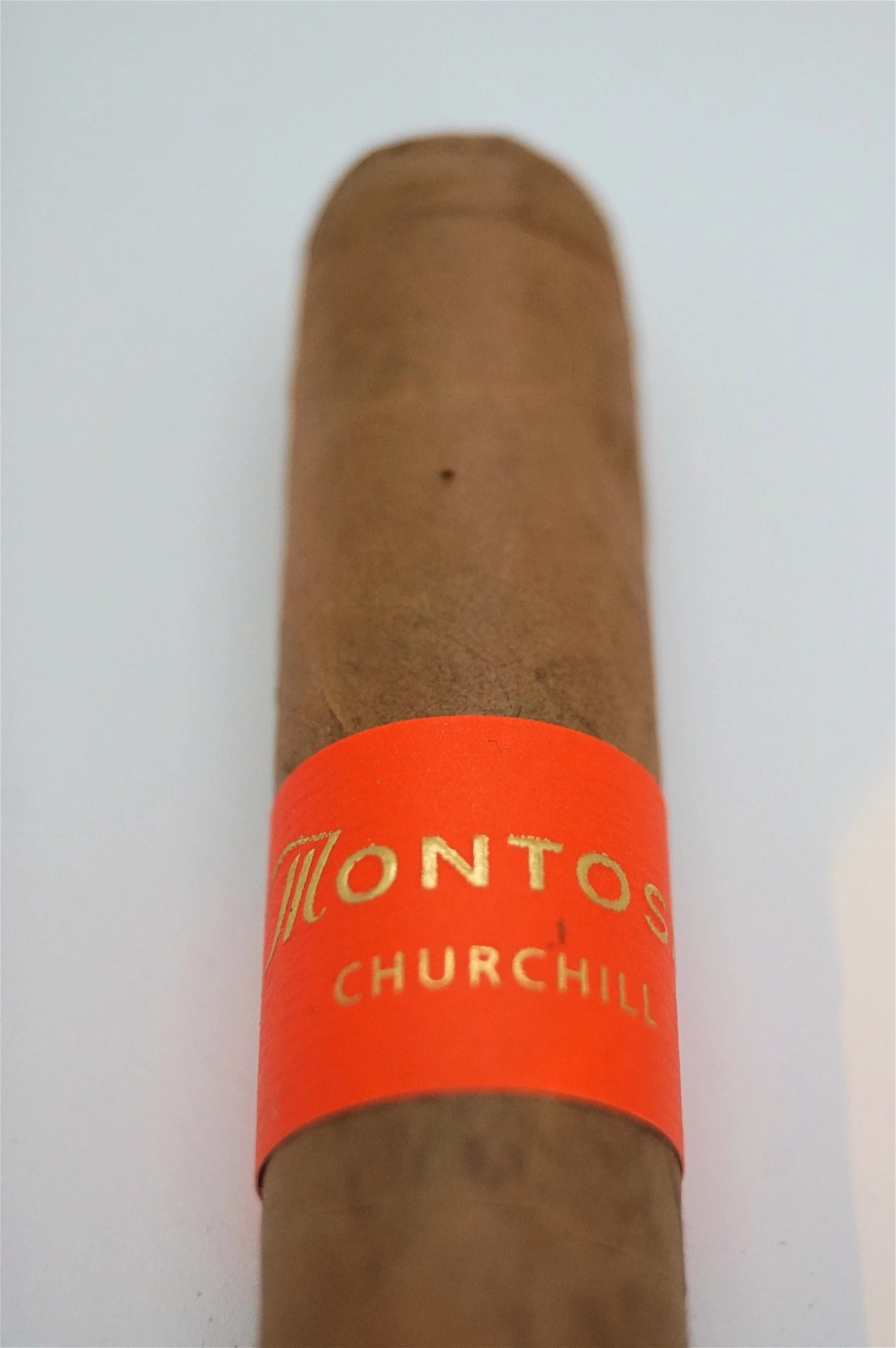 Montosa - Churchill 4 Montosa - Churchill - Image 2